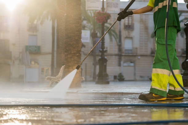 Best Solar Panel Cleaning  in Kewanee, IL